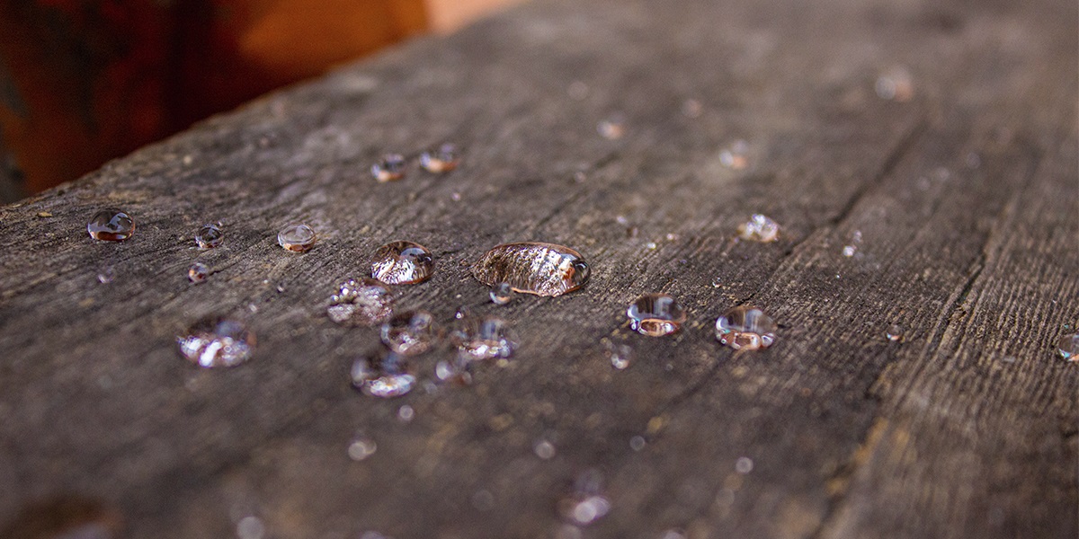 Nano Protege Madeiras - Impermeabilizante Ecológico1 L - Image 3